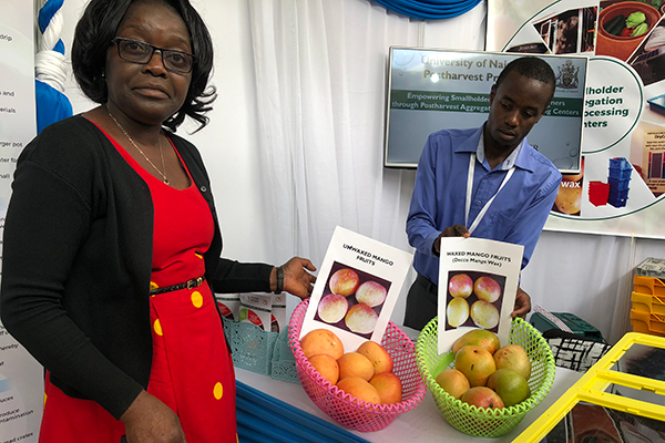 Prof. Ambuko displaying mangoes