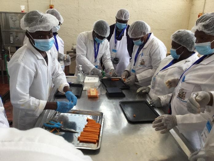 Trainees packaging the dried mango chips and mango rolls from their practical training session