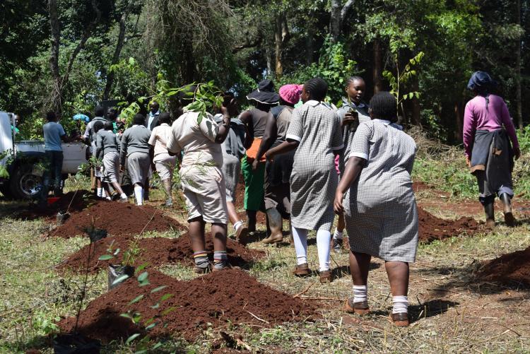 TREE PLANTING 2022