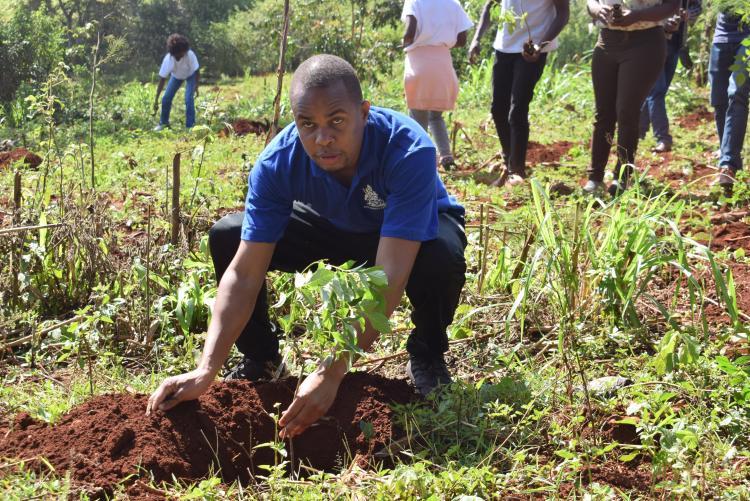 TREE PLANTING 2022