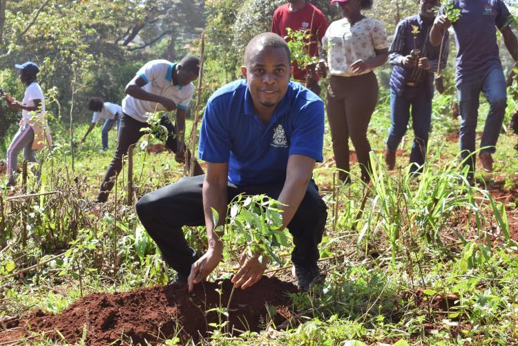 TREE PLANTING 2022