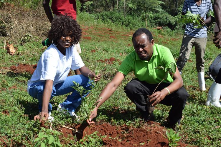 TREE PLANTING 2022