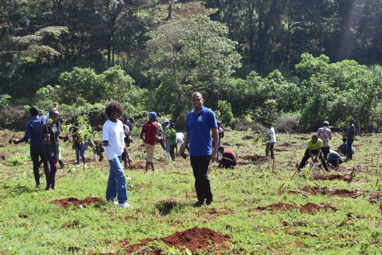 TREE PLANTING 2022