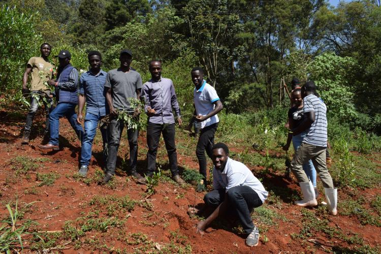 TREE PLANTING 2022