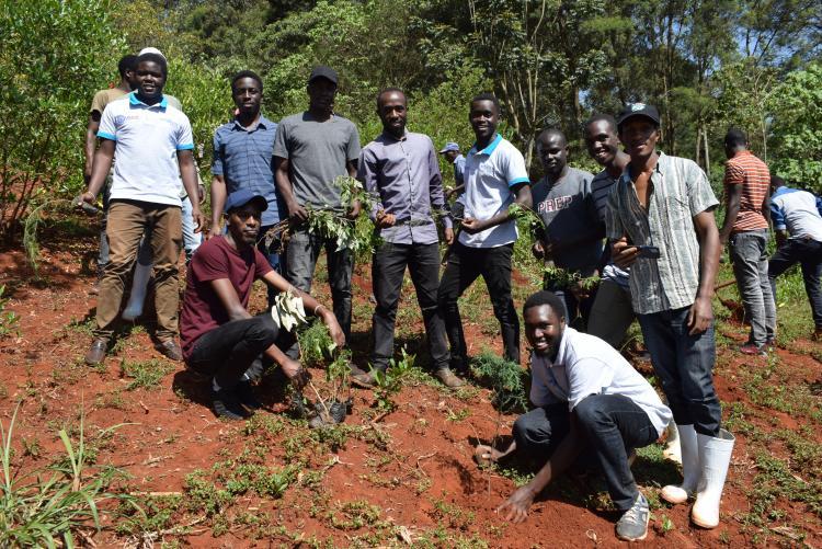 TREE PLANTING 2022