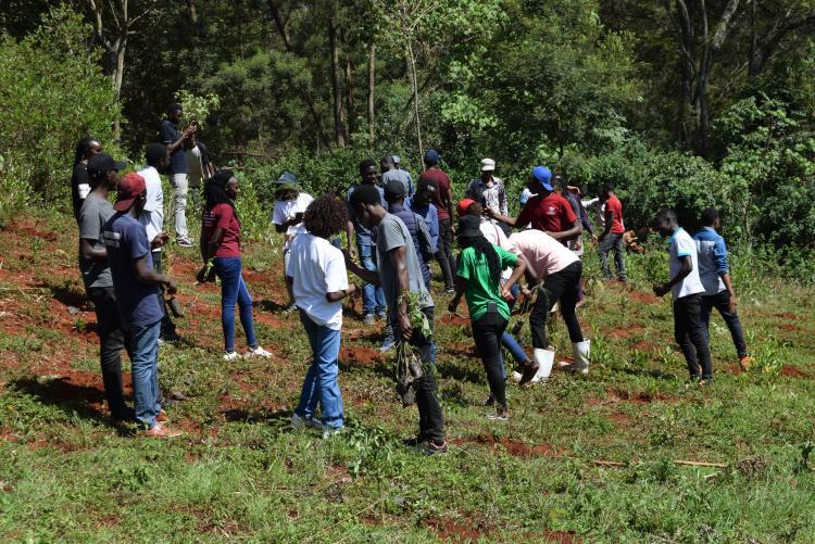 TREE PLANTING 2022