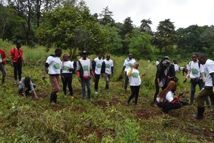 National Tree Planting Day at Kanyariri Farm, Upper Kabete Campus