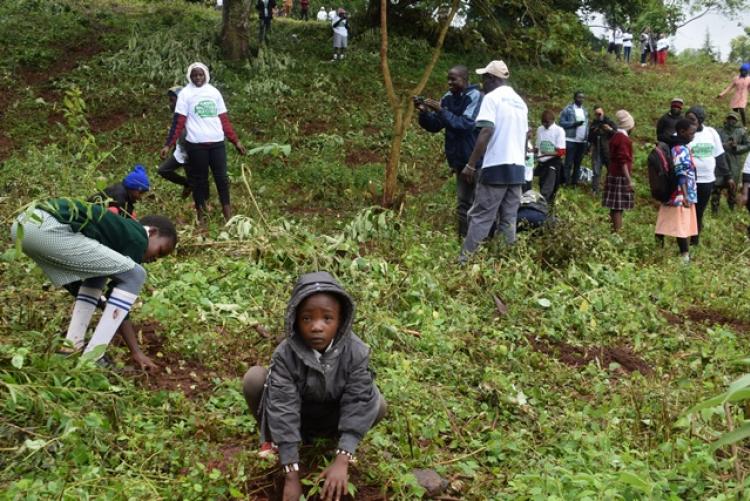 National Tree Planting Day at Kanyariri Farm, Upper Kabete Campus