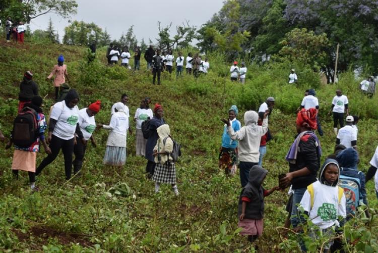 National Tree Planting Day at Kanyariri Farm, Upper Kabete Campus