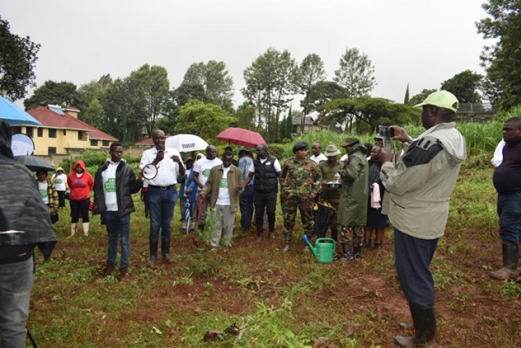 National Tree Planting Day at Kanyariri Farm, Upper Kabete Campus