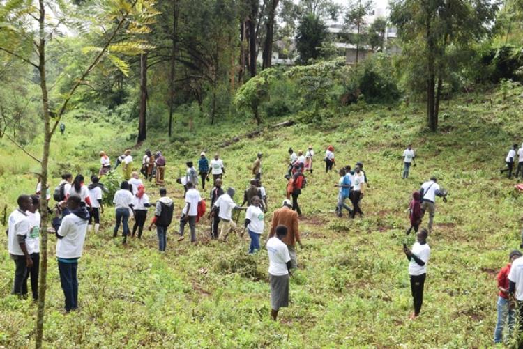 National Tree Planting Day at Kanyariri Farm, Upper Kabete Campus