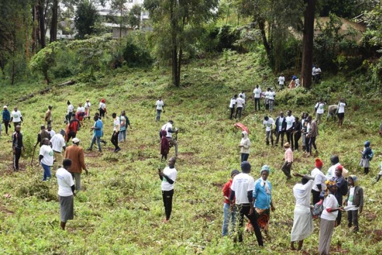 National Tree Planting Day at Kanyariri Farm, Upper Kabete Campus