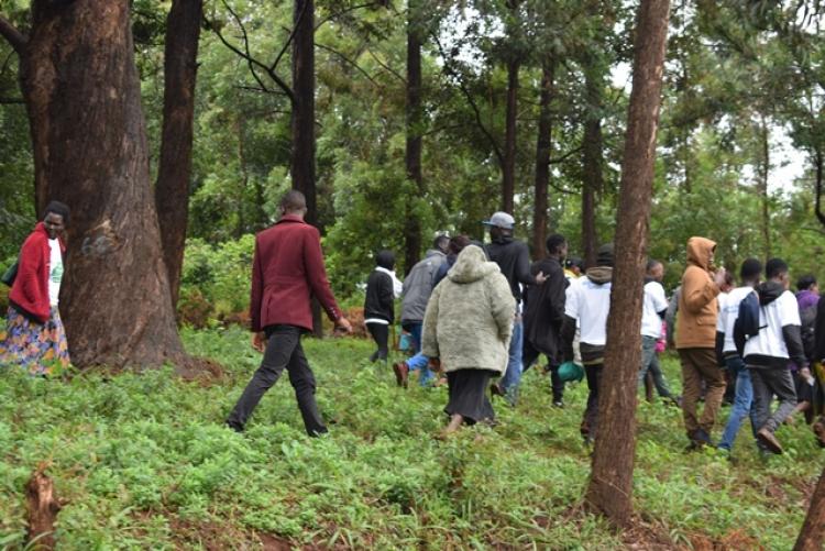 National Tree Planting Day at Kanyariri Farm, Upper Kabete Campus