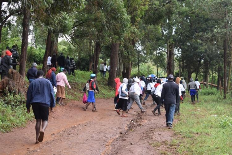 National Tree Planting Day at Kanyariri Farm, Upper Kabete Campus