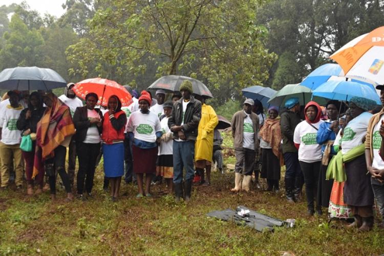 National Tree Planting Day at Kanyariri Farm, Upper Kabete Campus