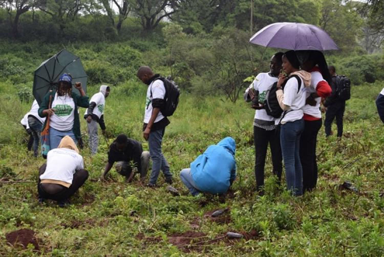 National Tree Planting Day at Kanyariri Farm, Upper Kabete Campus