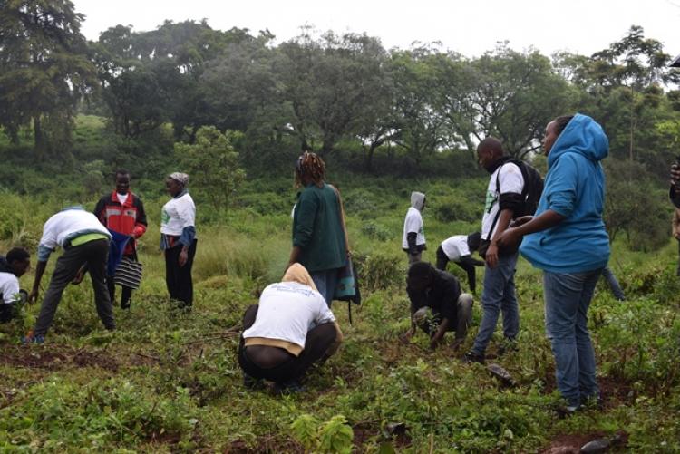 National Tree Planting Day at Kanyariri Farm, Upper Kabete Campus