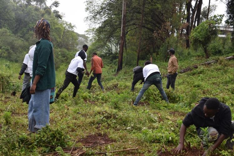 National Tree Planting Day at Kanyariri Farm, Upper Kabete Campus