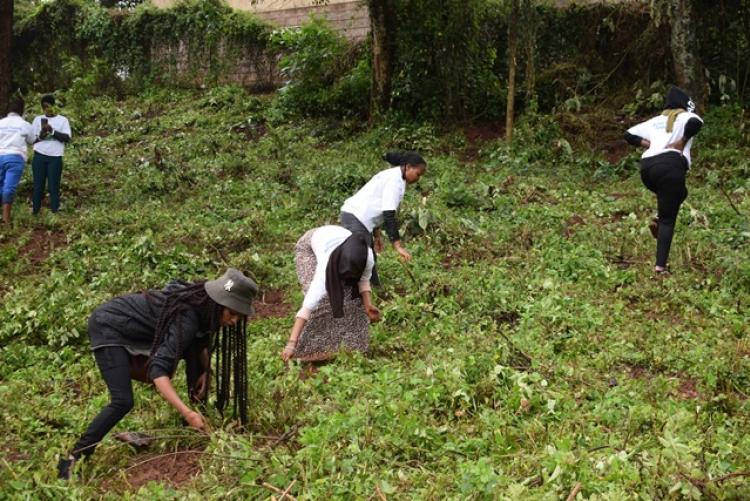 National Tree Planting Day at Kanyariri Farm, Upper Kabete Campus