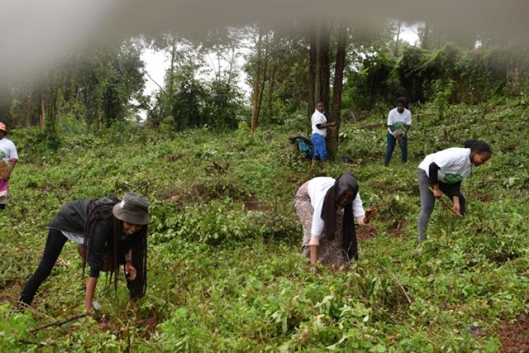 National Tree Planting Day at Kanyariri Farm, Upper Kabete Campus