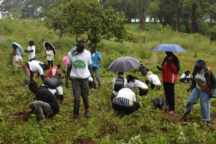 National Tree Planting Day at Kanyariri Farm, Upper Kabete Campus