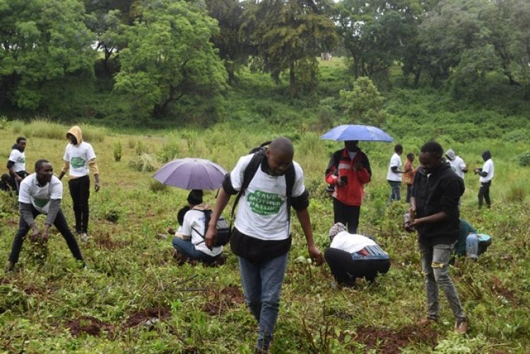 National Tree Planting Day at Kanyariri Farm, Upper Kabete Campus