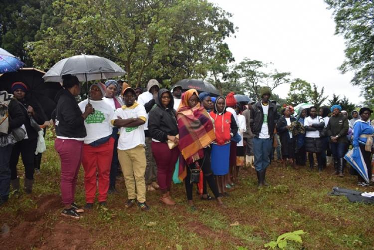 National Tree Planting Day at Kanyariri Farm, Upper Kabete Campus