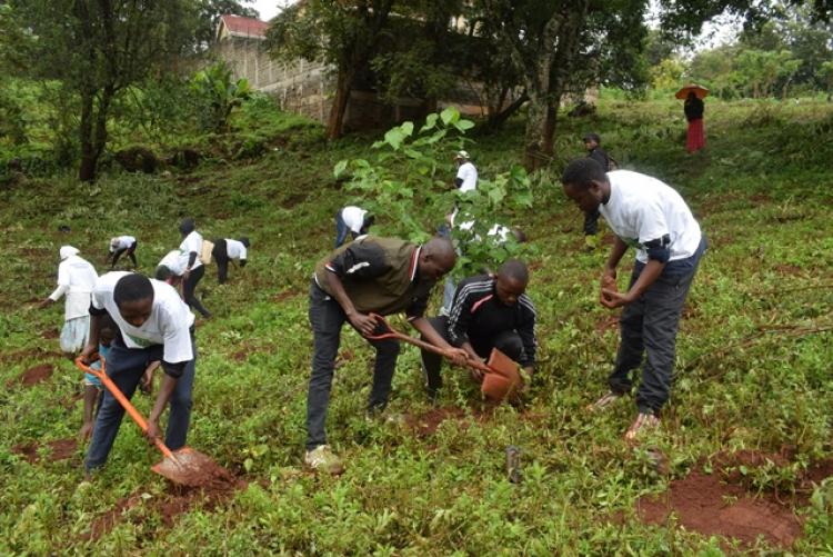 National Tree Planting Day at Kanyariri Farm, Upper Kabete Campus