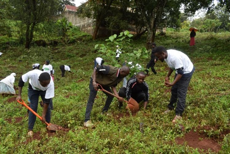 National Tree Planting Day at Kanyariri Farm, Upper Kabete Campus