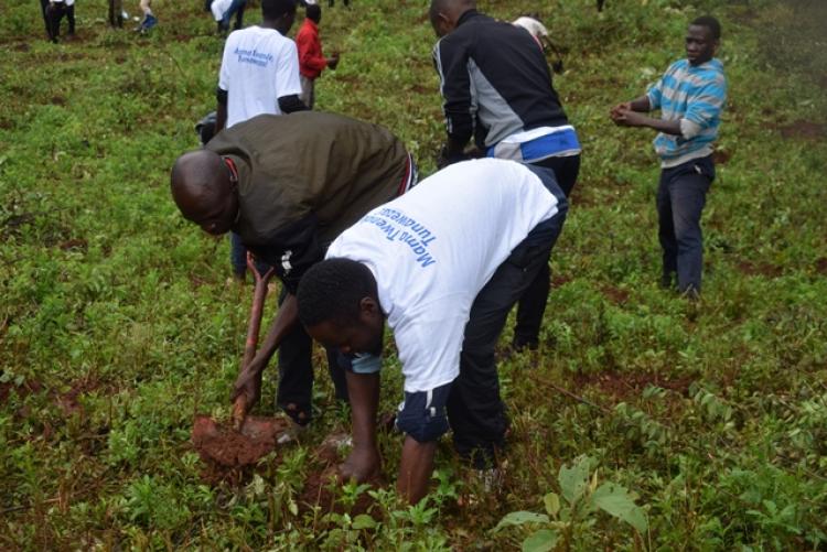 National Tree Planting Day at Kanyariri Farm, Upper Kabete Campus