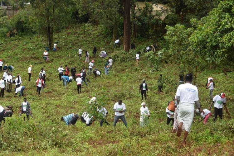 National Tree Planting Day at Kanyariri Farm, Upper Kabete Campus