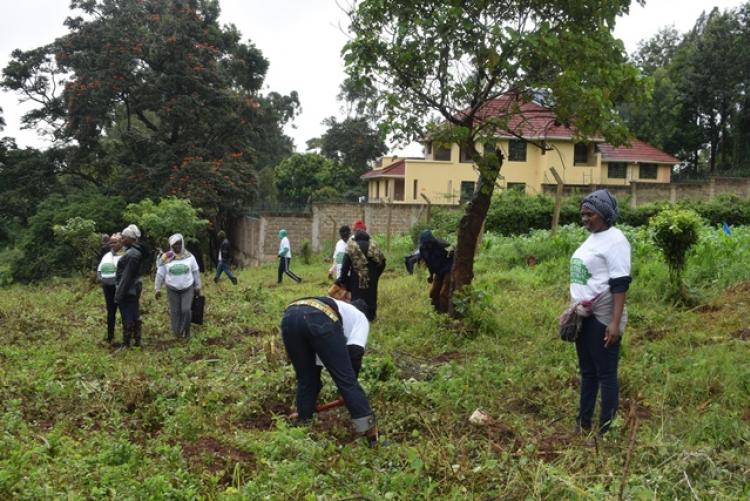 National Tree Planting Day at Kanyariri Farm, Upper Kabete Campus