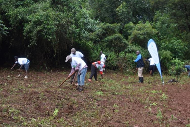 National Tree Planting Day at Kanyariri Farm, Upper Kabete Campus