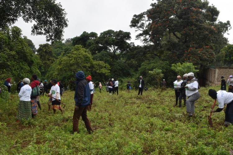 National Tree Planting Day at Kanyariri Farm, Upper Kabete Campus