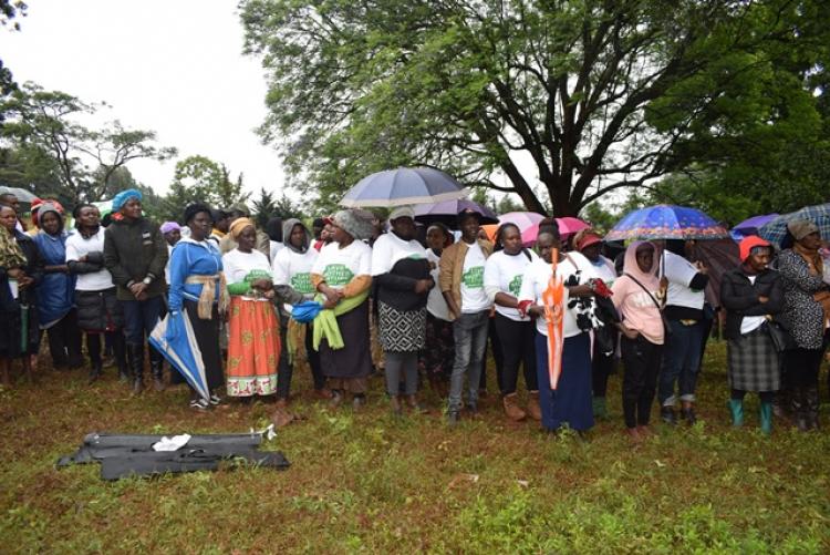 National Tree Planting Day at Kanyariri Farm, Upper Kabete Campus