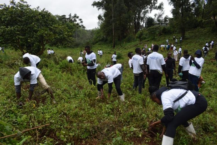 National Tree Planting Day at Kanyariri Farm, Upper Kabete Campus