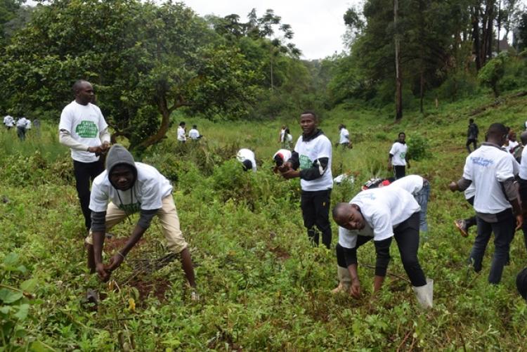 National Tree Planting Day at Kanyariri Farm, Upper Kabete Campus