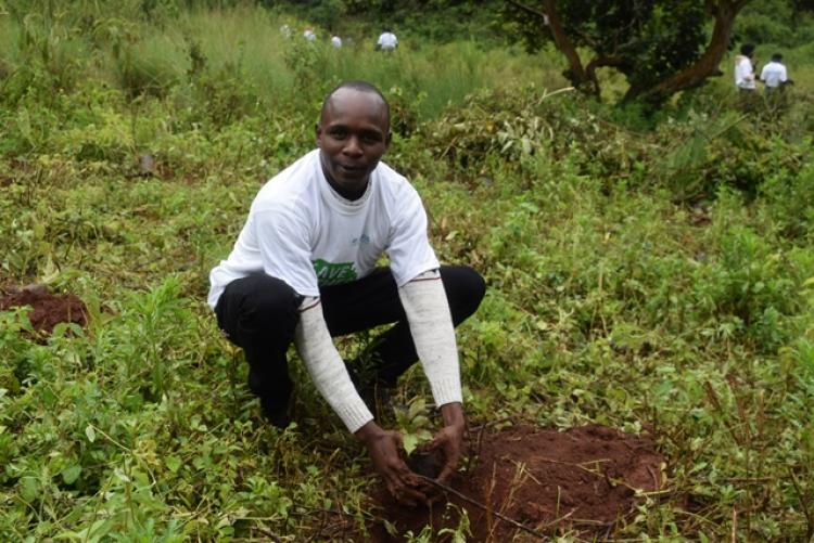 National Tree Planting Day at Kanyariri Farm, Upper Kabete Campus