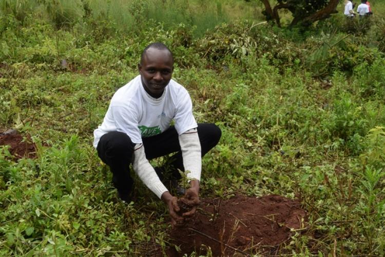 National Tree Planting Day at Kanyariri Farm, Upper Kabete Campus