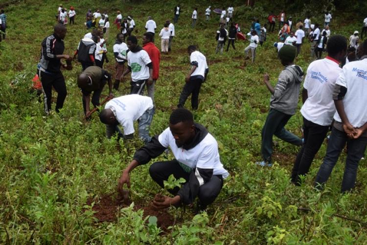 National Tree Planting Day at Kanyariri Farm, Upper Kabete Campus