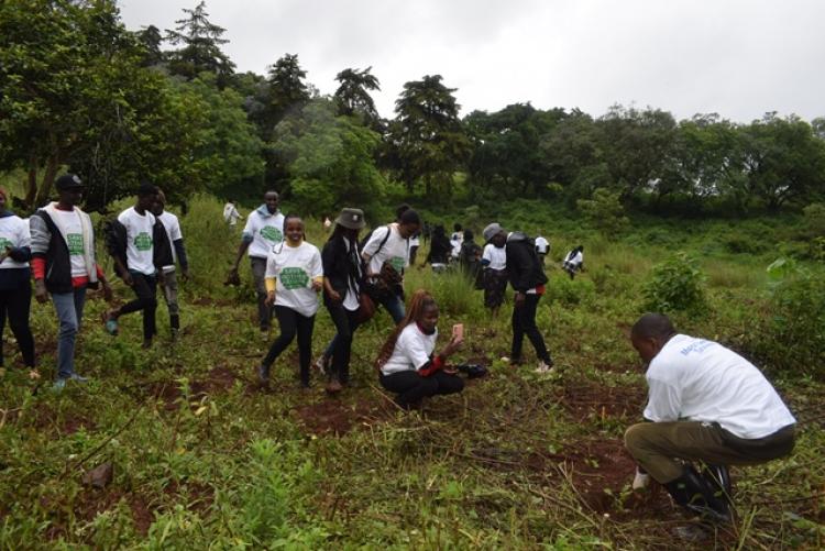 National Tree Planting Day at Kanyariri Farm, Upper Kabete Campus