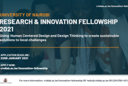 Research and Innovation Fellowship